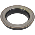 AGCO Oil Seal 7073956M1 Parts - True Ag & Turf