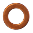 AGCO NOZZLE GASKET 7064128M1 Parts - True Ag & Turf