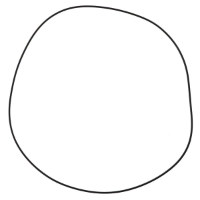 AGCO O-RING ACP0375540 Parts - True Ag & Turf