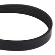 AGCO MICRO-V BELT 700753182 Parts - True Ag & Turf