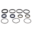 AGCO SEAL KIT ACP0345980 Parts - True Ag & Turf