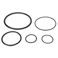 AGCO SEAL KIT 71171806 Parts - True Ag & Turf
