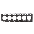 AGCO Head Gasket 72436520 Parts - True Ag & Turf