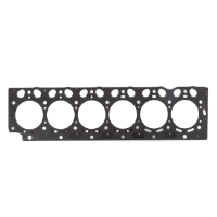 AGCO Head Gasket 72436520 Parts - True Ag & Turf