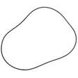 AGCO O-RING 72376700 Parts - True Ag & Turf