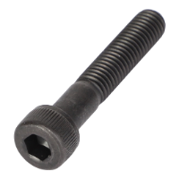 AGCO HEX SOCKET SCREW V581704660 Parts - True Ag & Turf