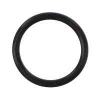 AGCO O-RING 3756195M1 Parts - True Ag & Turf