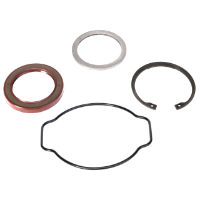 AGCO SEAL KIT 572005D1 Parts - True Ag & Turf
