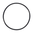 AGCO O-Ring, Hydraulic Filter 3901890M1 Parts - True Ag & Turf
