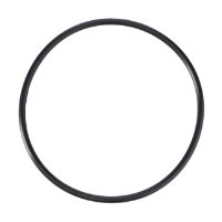 AGCO O-Ring, Hydraulic Filter 3901890M1 Parts - True Ag & Turf