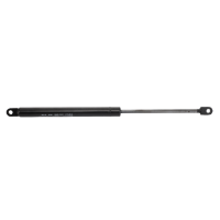 AGCO GAS FILL. DAMPER FEL128982 Parts - True Ag & Turf