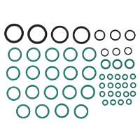 AGCO SEALS KIT 4350500M11 Parts - True Ag & Turf