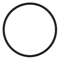 AGCO O-RING 1751738M1 Parts - True Ag & Turf