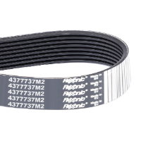 AGCO Serpentine Belt, PK8 Profile 4377737M2 Parts - True Ag & Turf