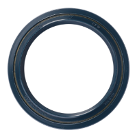AGCO RADIAL SEALING RING 3014905X1 Parts - True Ag & Turf