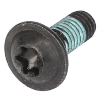 AGCO TORX HEAD SCREW ACX2570330  - True Ag & Turf