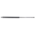 AGCO Gas Spring 700731678 Parts - True Ag & Turf