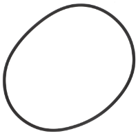 AGCO O-RING 1540600801 Parts - True Ag & Turf