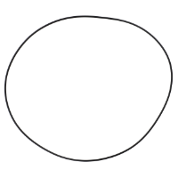 AGCO O-RING ACP0491690 Parts - True Ag & Turf