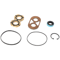 AGCO SEALS KIT 700725723 Parts - True Ag & Turf