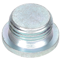 AGCO PLUG 72256155 Parts - True Ag & Turf