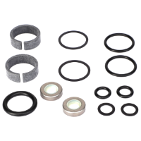AGCO SEAL KIT 113243M1 Parts - True Ag & Turf