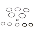 AGCO SEAL KIT 79002930 Parts - True Ag & Turf