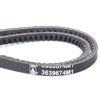 AGCO V-Belt, Sold as a Matched Pair 3639674M1 Parts - True Ag & Turf